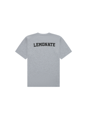 COLLEGE LOGO T-SHIRT GREY