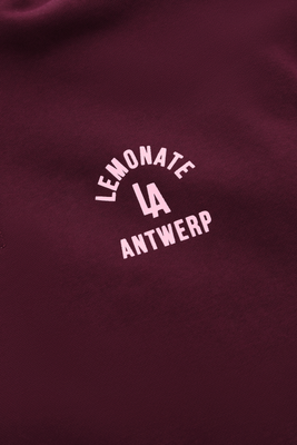 COLLEGE POLO SWEATER BURGUNDY