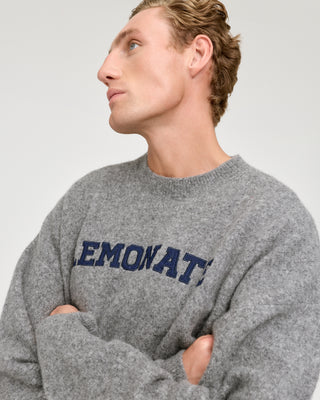 LAMBSWOOL VARSITY SWEATER GREY